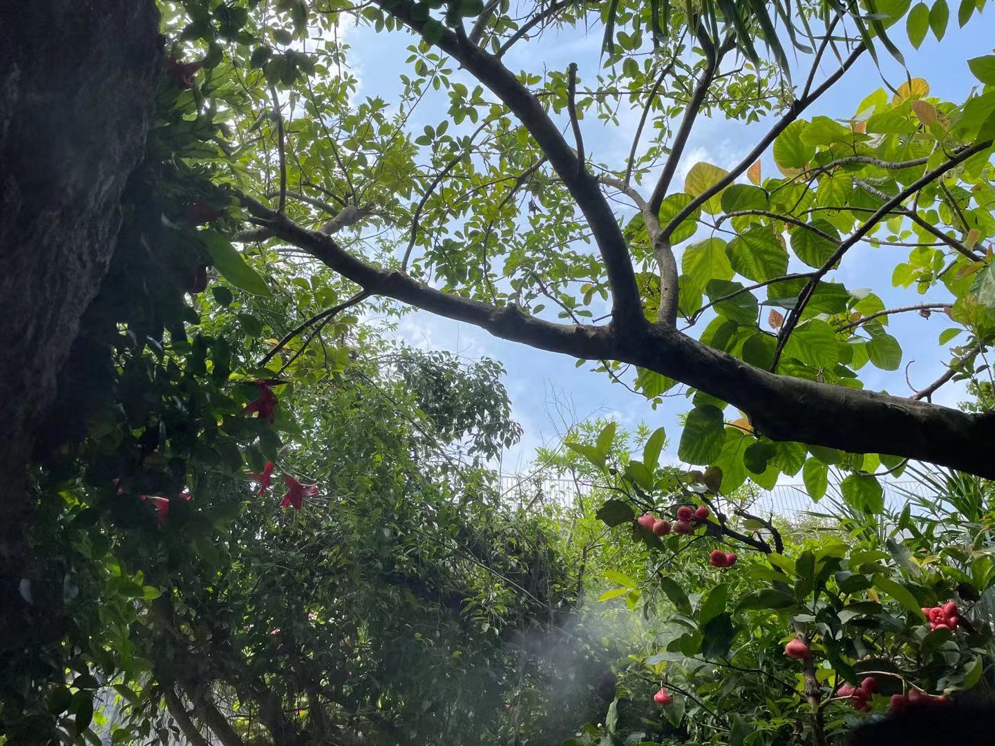 圖片關鍵詞