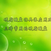 【硬脂酸鹽供應批發】硬脂酸鹽在工業上有這些應用