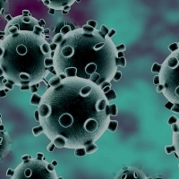 【倍特專欄】低碳環保聚丙烯PP專用料為阻隔“疫情肆虐”筑起防菌墻