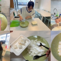 倍特的日常  -二月的成長與收獲