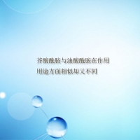 【倍特化工】芥酸酰胺與油酸酰胺在作用用途方面相似卻又不同